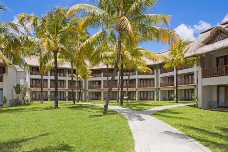 Palm trees